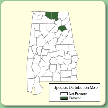 Species Distribution Map