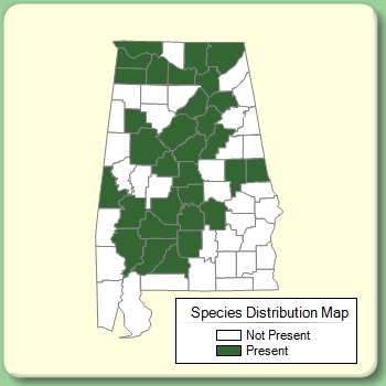 Species Distribution Map