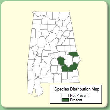 Species Distribution Map