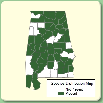 Species Distribution Map