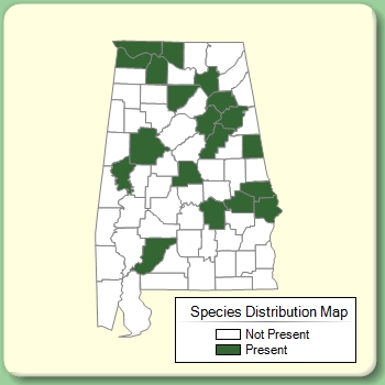 Species Distribution Map