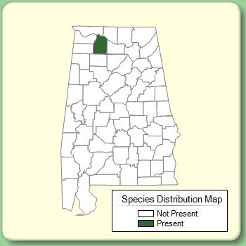 Species Distribution Map