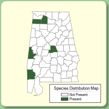 Species Distribution Map