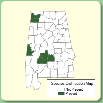 Species Distribution Map