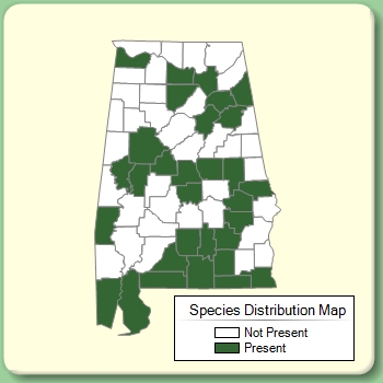 Species Distribution Map