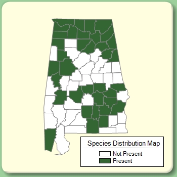 Species Distribution Map