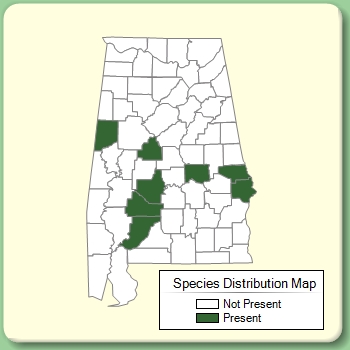 Species Distribution Map