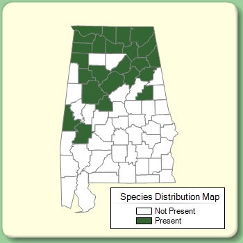 Species Distribution Map