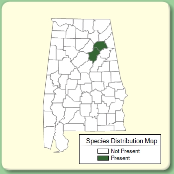 Species Distribution Map