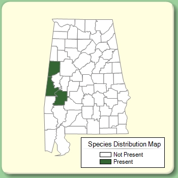 Species Distribution Map