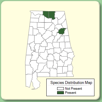 Species Distribution Map