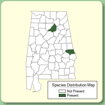 Species Distribution Map