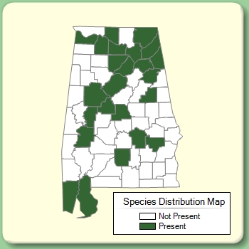 Species Distribution Map