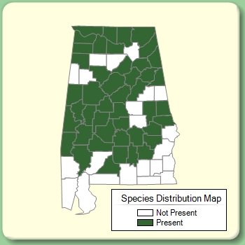 Species Distribution Map