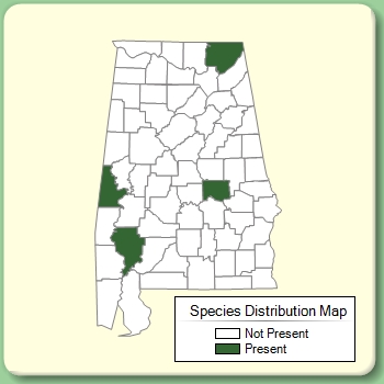 Species Distribution Map