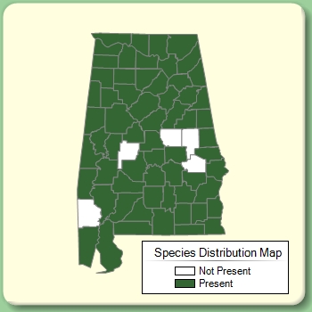 Species Distribution Map