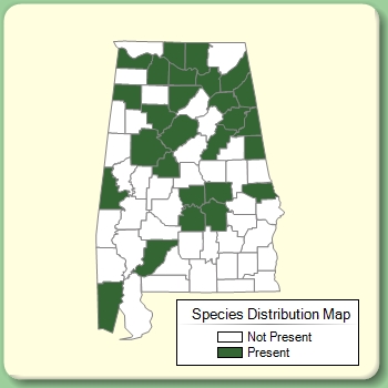 Species Distribution Map