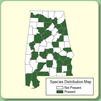 Species Distribution Map