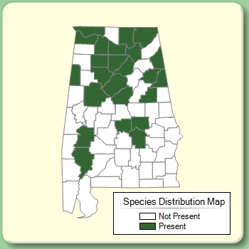 Species Distribution Map