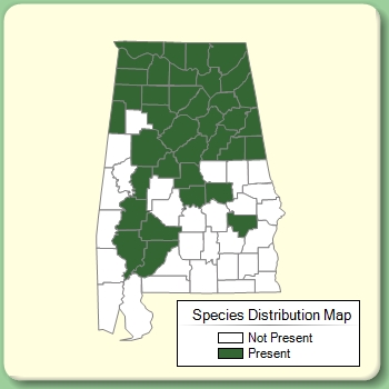 Species Distribution Map