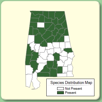 Species Distribution Map