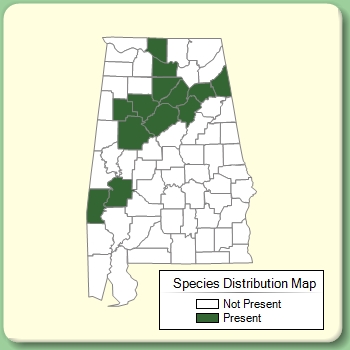 Species Distribution Map