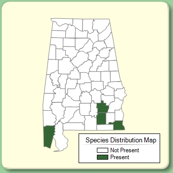 Species Distribution Map