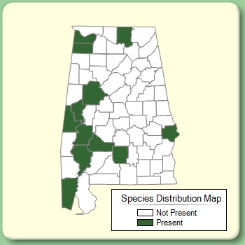 Species Distribution Map