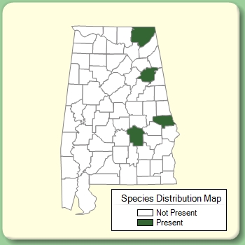 Species Distribution Map