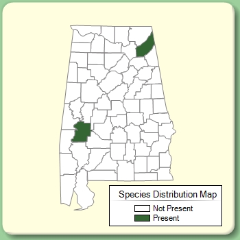 Species Distribution Map