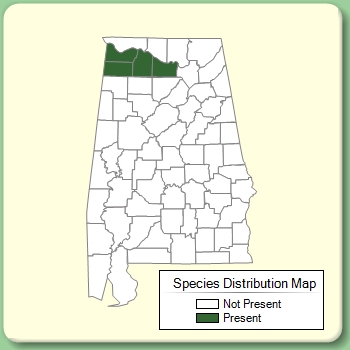 Species Distribution Map