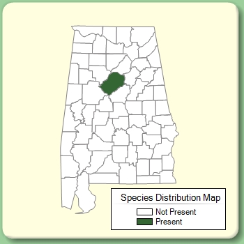 Species Distribution Map