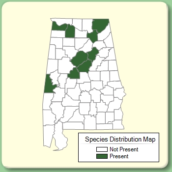 Species Distribution Map