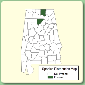 Species Distribution Map