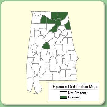 Species Distribution Map