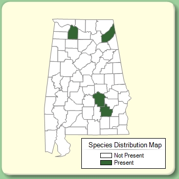 Species Distribution Map