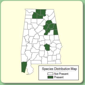 Species Distribution Map