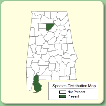 Species Distribution Map