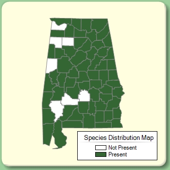 Species Distribution Map