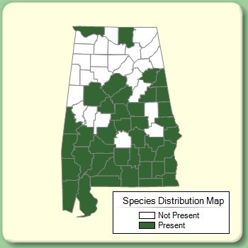 Species Distribution Map