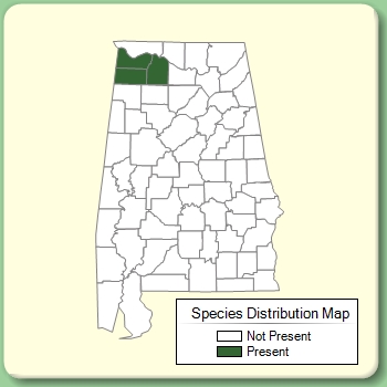 Species Distribution Map