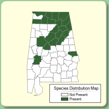 Species Distribution Map