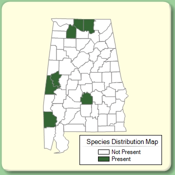 Species Distribution Map