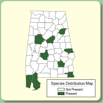 Species Distribution Map