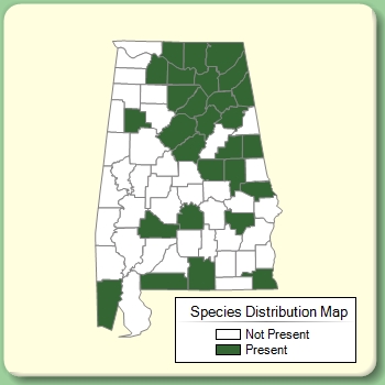 Species Distribution Map