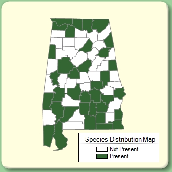 Species Distribution Map