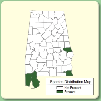 Species Distribution Map