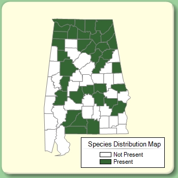 Species Distribution Map