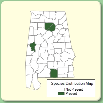 Species Distribution Map