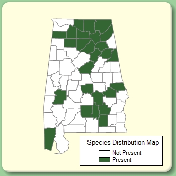 Species Distribution Map